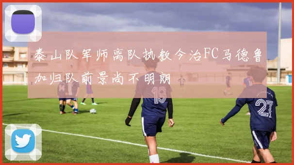 泰山队军师离队执教今治FC马德鲁加归队前景尚不明朗